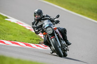 Oulton-Park-21st-March-2020;PJ-Motorsport-Photography-2020;anglesey;brands-hatch;cadwell-park;croft;donington-park;enduro-digital-images;event-digital-images;eventdigitalimages;mallory;no-limits;oulton-park;peter-wileman-photography;racing-digital-images;silverstone;snetterton;trackday-digital-images;trackday-photos;vmcc-banbury-run;welsh-2-day-enduro